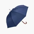 Shed Rain™ 48" Wood-Handled Auto-Open Stick Umbrella — view 2