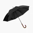 Shed Rain™ 48" Wood-Handled Auto-Open Stick Umbrella — view 12