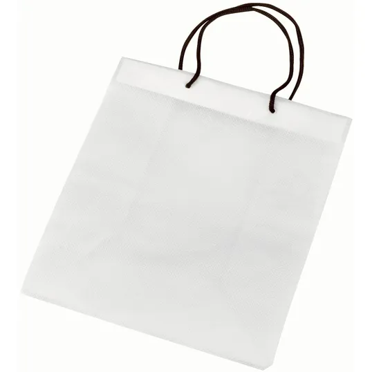 Non-Woven Polypropylene Gift Bag with Braided Handles — view 3