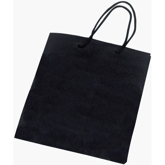 Non-Woven Polypropylene Gift Bag with Braided Handles
