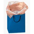 Non-Woven Polypropylene Gift Bag with Braided Handles — view 4