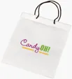 Non-Woven Polypropylene Gift Bag with Braided Handles — view 6
