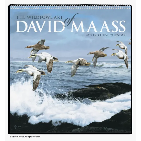 HotLine® Products David Maass Executive Wall Calendar — view 6