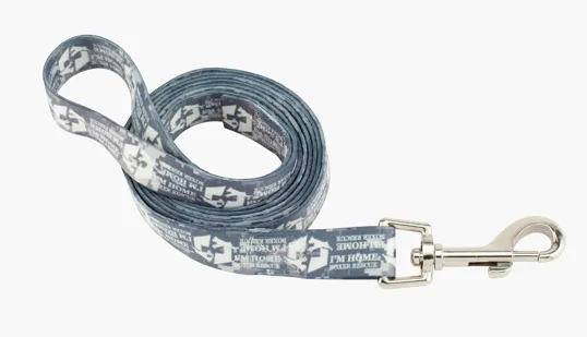 Good Value™ Fine-Print Pet Leash — view 2