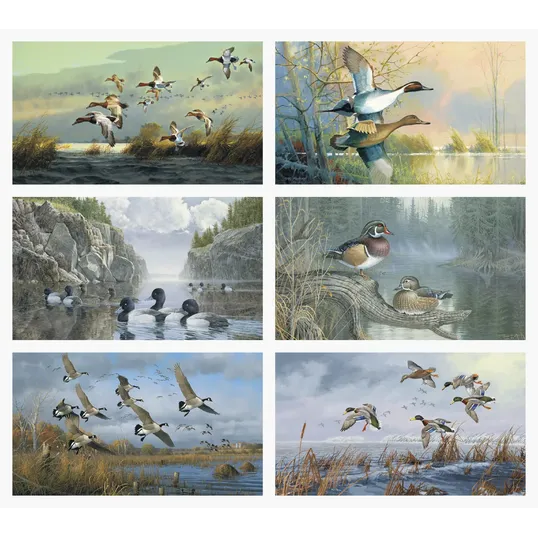 Triumph® Calendars North American Waterfowl Wall Calendar — view 2