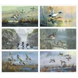 Triumph® Calendars North American Waterfowl Wall Calendar — view 2