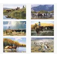 Triumph® Calendars American West by Tim Cox Wall Calendar — view 2