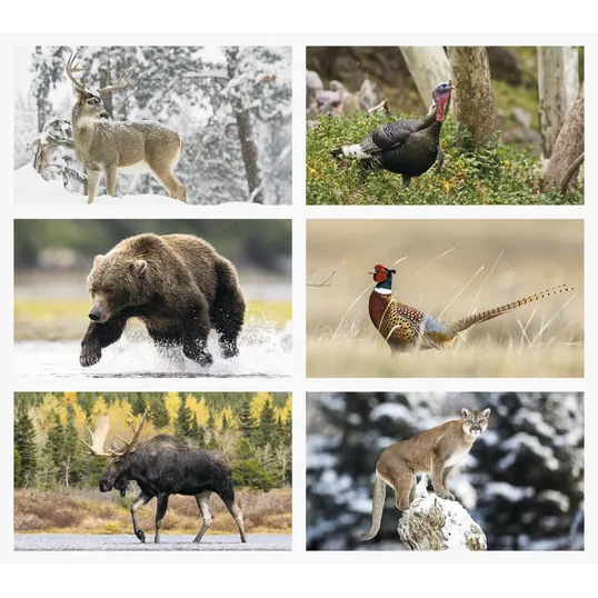 Triumph® Calendars Wildlife Wall Calendar — view 2