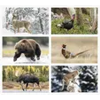 Triumph® Calendars Wildlife Wall Calendar — view 2