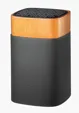 SCX Innovative Design™ Maple Wood Clever 5W Speaker