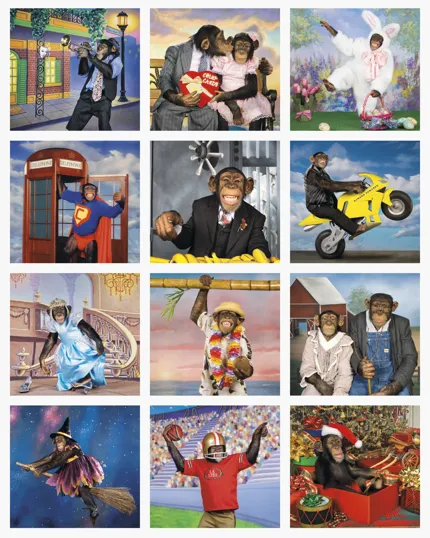 Triumph® Calendars Monkey Business Wall Calendar — view 2