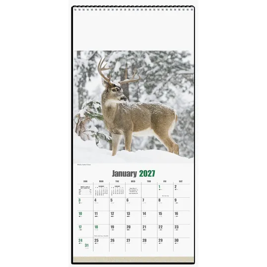 Triumph® Calendars Sportsman Wall Calendar — view 3