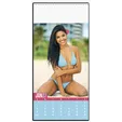 Triumph® Calendars Swimsuits Wall Calendar, 9 x 19 in. — view 3