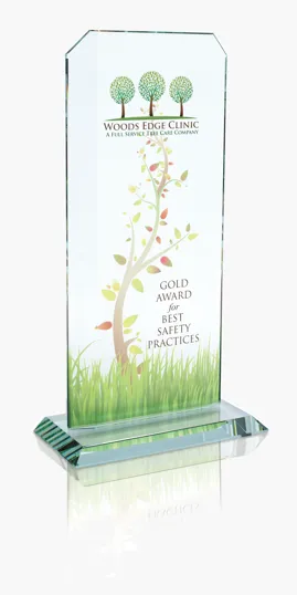 JAFFA® Starfire Echo Award - Large — view 2