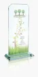 JAFFA® Starfire Echo Award - Large — view 2