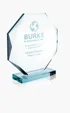 JAFFA® Jade Octagon Award, Small — view 2