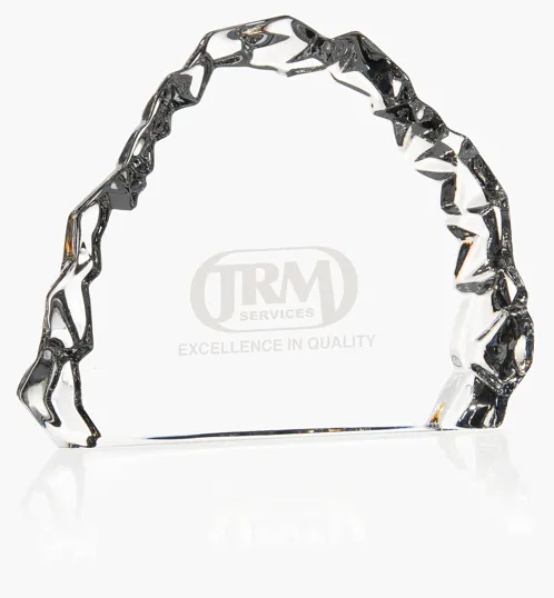 MARIO CIONI Carved Crystal Award — view 2