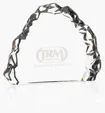 MARIO CIONI Carved Crystal Award — view 2