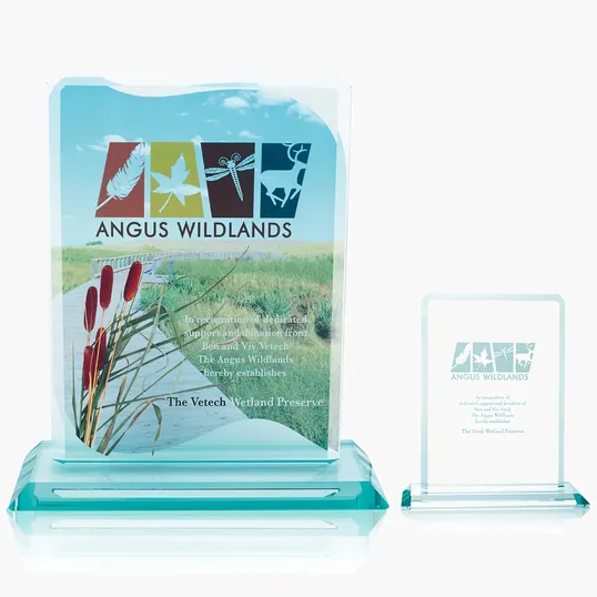 JAFFA® Clipped Jade Crystal Award — view 4