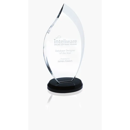 JAFFA® Innovation Award - Medium, Optical Crystal — view 2