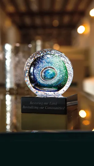 JAFFA® Galaxy Handmade Art Glass Award — view 4