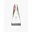 JAFFA® Influential Optical Crystal Award — view 5