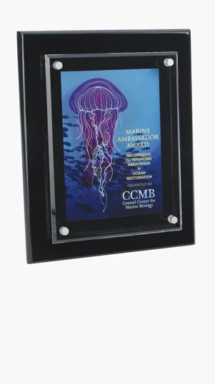 JAFFA® Floating Glass Plaque, 8" x 10" — view 8