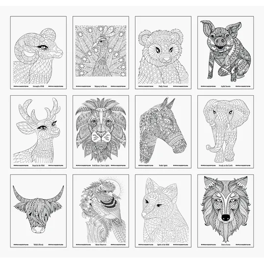 Good Value™ Wild Wonders Adult Coloring Book — view 4