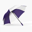 Shed Rain™ 58" Auto-Open Golf Umbrella — view 7