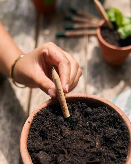 SproutWorld™ Plantable Pencil with Seed Capsule — view 16