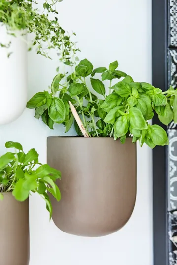 SproutWorld™ Plantable Pencil with Seed Capsule — view 14