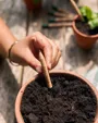 SproutWorld™ Plantable Pencil with Seed Capsule — view 16