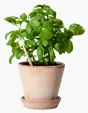 SproutWorld™ Plantable Pencil with Seed Capsule — view 17