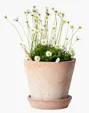 SproutWorld™ Plantable Pencil with Seed Capsule — view 8