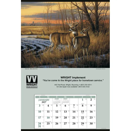 Triumph® Calendars Jumbo Hanger 12-Month Wall Calendar — view 9
