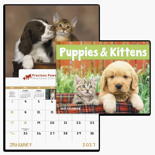 Good Value™ Puppies & Kittens Window Calendar, 13-Month