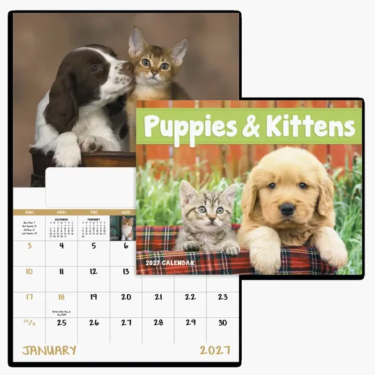 Good Value™ Puppies & Kittens Window Calendar, 13-Month — view 6