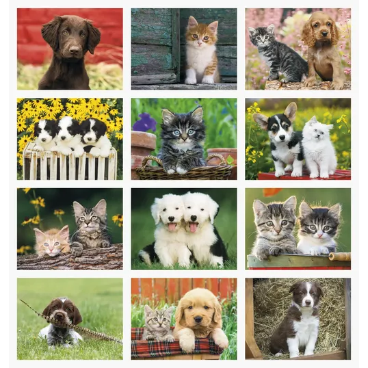 Good Value™ Puppies & Kittens Window Calendar, 13-Month — view 3