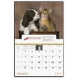 Good Value™ Puppies & Kittens Window Calendar, 13-Month — view 4