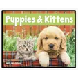 Good Value™ Puppies & Kittens Window Calendar, 13-Month — view 2