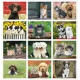 Good Value™ Puppies & Kittens Window Calendar, 13-Month — view 3