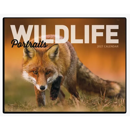 Good Value™ Wildlife Portraits Window Calendar, 13-Month Wall Calendar — view 3