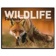 Good Value™ Wildlife Portraits Window Calendar, 13-Month Wall Calendar — view 3