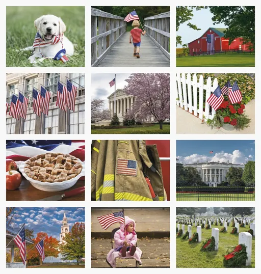 Good Value™ Celebrate America 13-Month Window Calendar