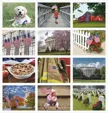 Good Value™ Celebrate America 13-Month Window Calendar