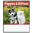 Good Value™ Puppies & Kittens Mini Calendar — view 5