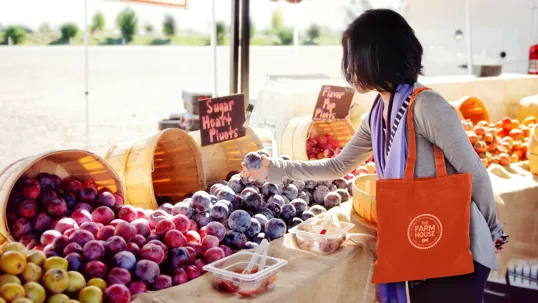 Good Value™ Colored Economy Cotton Tote with 26" Handles — view 19