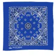 Garyline® 22" Cotton Bandana with Paisley Pattern — view 3