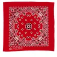 Garyline® 22" Cotton Bandana with Paisley Pattern