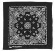 Garyline® 22" Cotton Bandana with Paisley Pattern — view 2